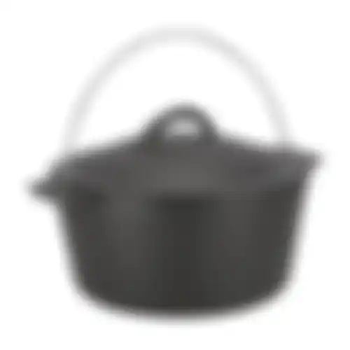 Pan+deksel gietijzer D27cm Nice Cooker
