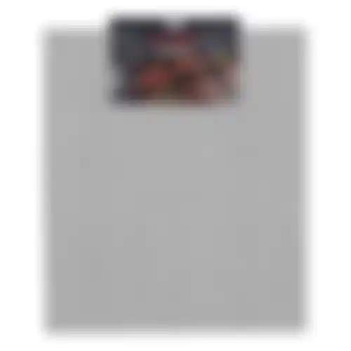 Teflonmat Barbecue 36x42 cm Nice Cooker