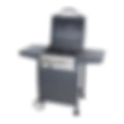 Barbecue Gas Winsconsin Nice Cooker