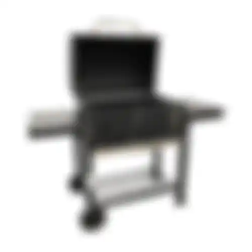 Barbecue houtskool Brentwood Nice Cooker