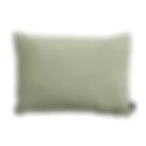 Panama sage B241 40x60 pillow