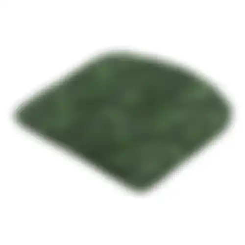 Ruiz green zitkussen 46x48