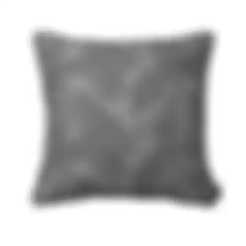 Ruiz grey C036 50x50 pillow pp