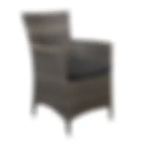 Stoel Casas Willow Grey Bois le Duc