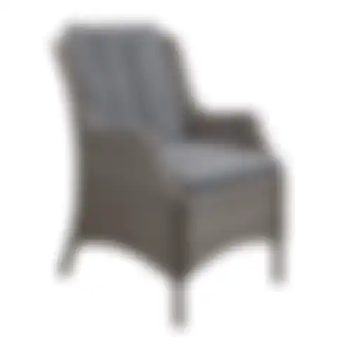 Stoel Creda Willow Grey Bois le Duc