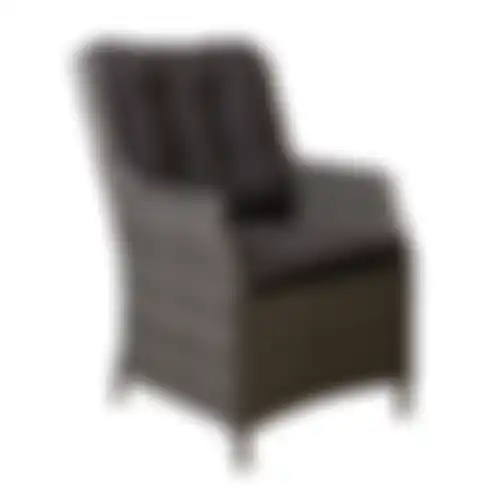 Stoel Carano Willow Grey Bois le Duc