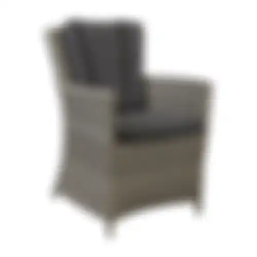 Stoel Sauro willow grey + kussens