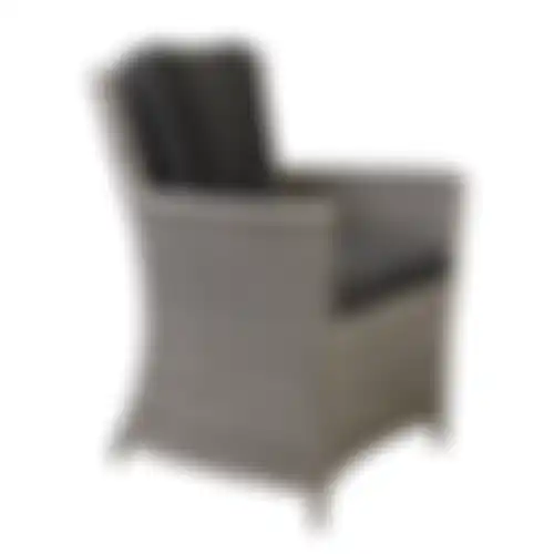 Stoel Sauro white grey + kussens