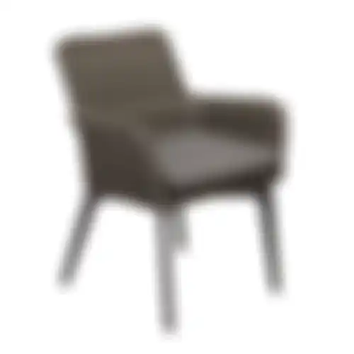 Stoel Retosi willow grey+kussen