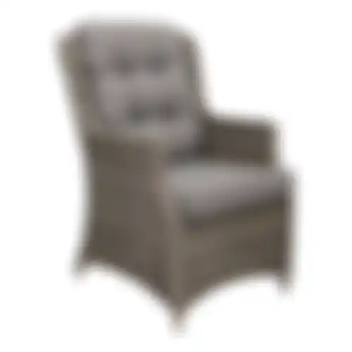 Stoel Aprano Willow Grey Bois le Duc