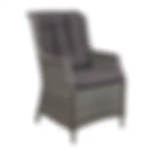Stoel Manuli willow grey + kussens