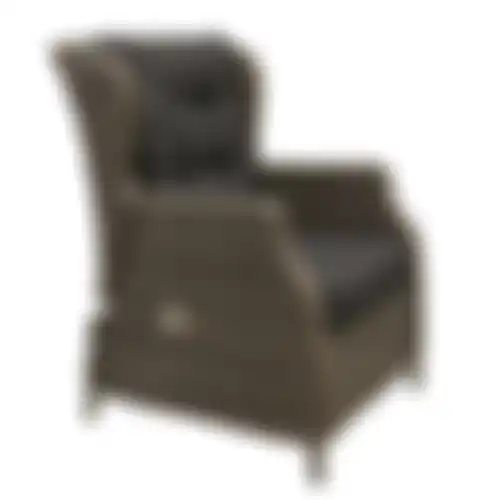 Stoel Olvera verstelbaar willow grey + kussens