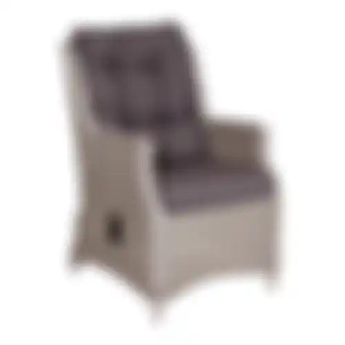 Stoel Cardito Verstelbaar White Grey Bois le Duc