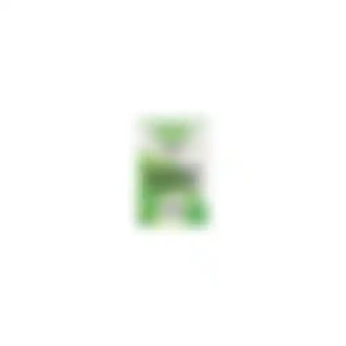Hekwerk Bamboo 2M Bg