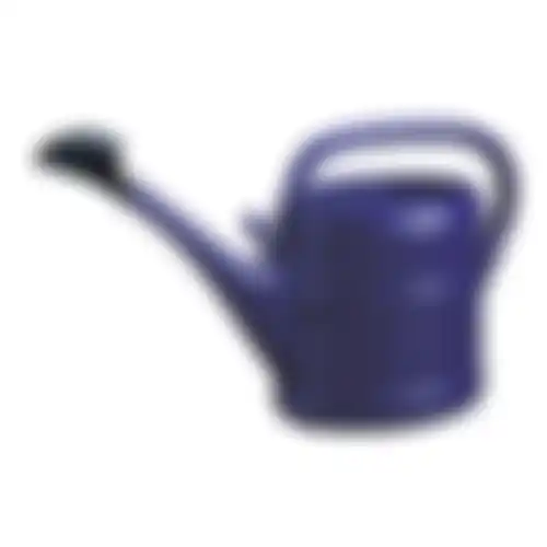 Tuingieter + broes 10L blauw ebert