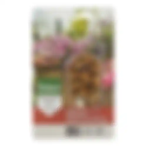 Voedingskegels terras + balkon 10st Pokon