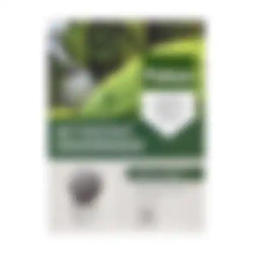 Groenmaker bitterzout 500G Pokon