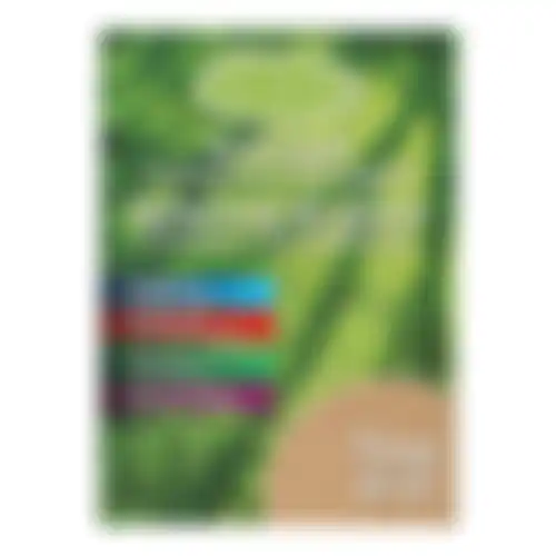 Graszaad schaduwgazon 500gr VC