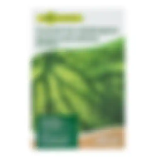 Graszaad schaduwgazon 2500gr VC