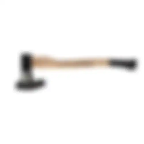 Bijl 1000gr + essen steel 60cm