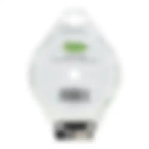 Binddraad groen + houder 50m Bel Garden