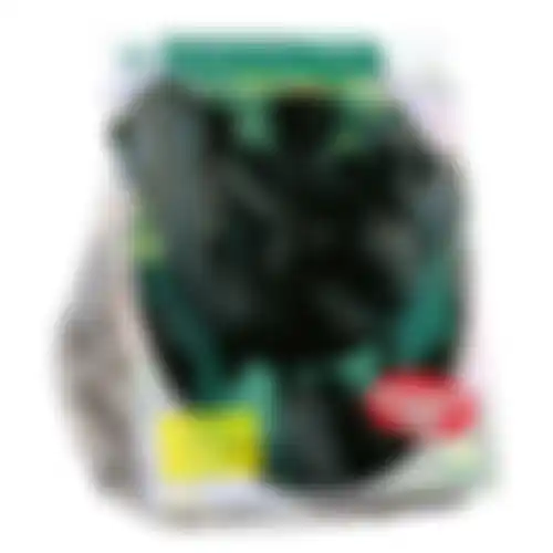 Tulipa Black Parrot Parkiet per 12