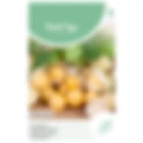 Horti Tops Ananaskers Peruviana