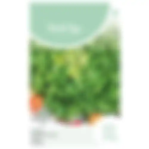 Horti Tops Andijvie nummer vijf