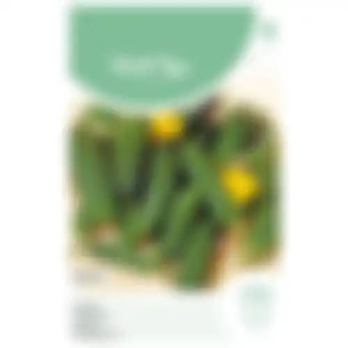 Horti Tops national kleine groene Augurken