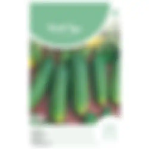 Horti Tops Augurken profi