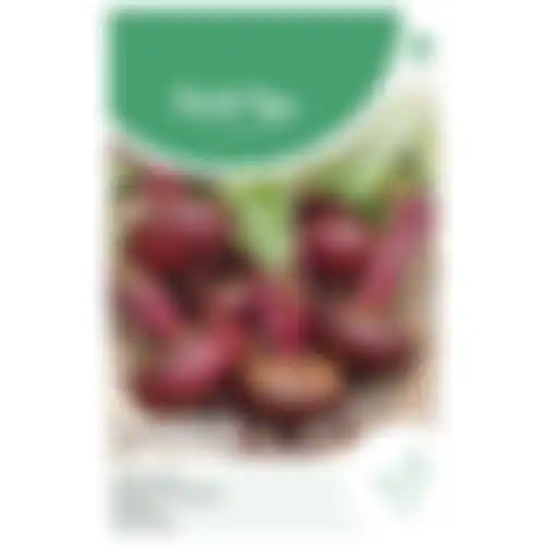 Horti Tops Bieten Egyptische platronde