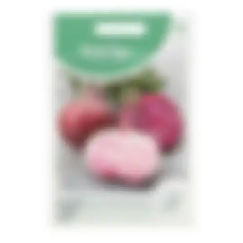 Horti Tops Bieten chioggia