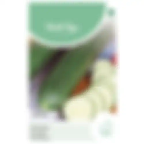 Horti Tops Komkommers Johanna