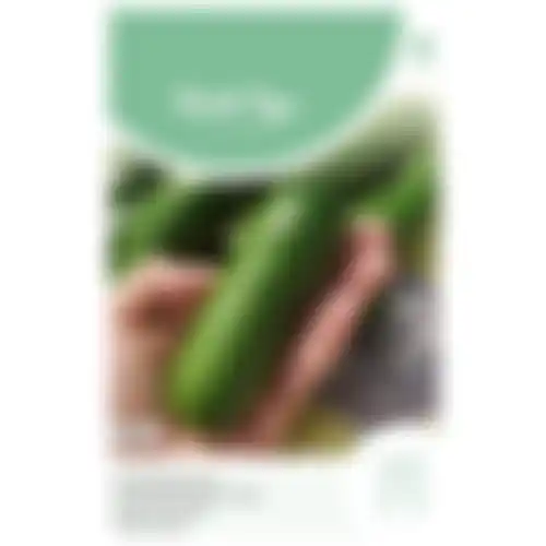 Horti Tops Snackkomkommer Iznik