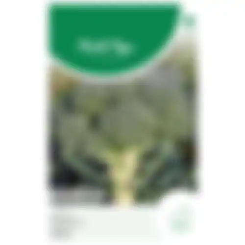 Horti Tops Broccoli calabria natalino