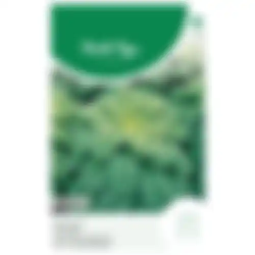 Horti Tops Boerenkool winterbor F1