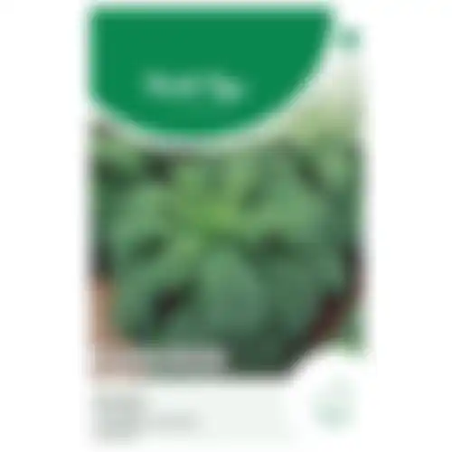 Horti Tops Boerenkool middelhoge fijne krul