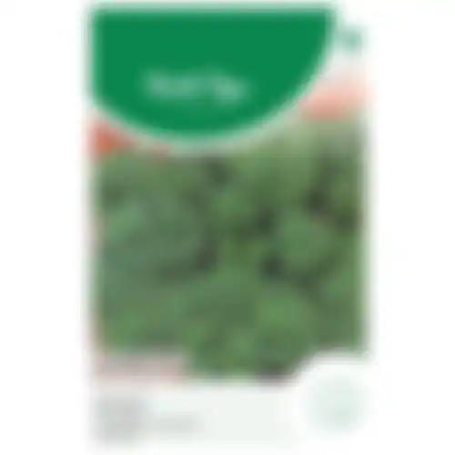 Horti Tops Boerenkool Westlands Herfst laat type