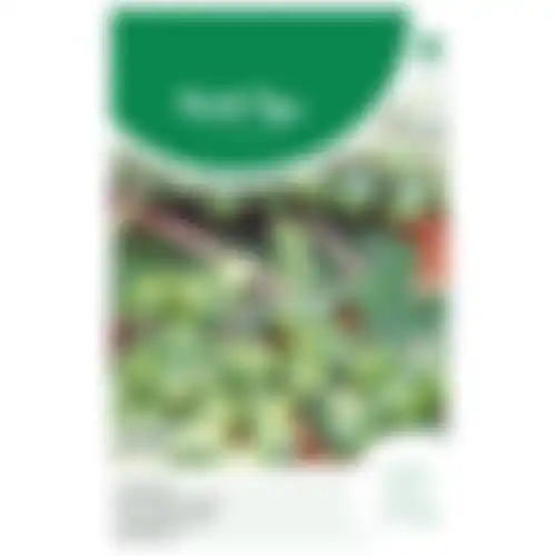 Horti Tops Spruitkool roodnerf