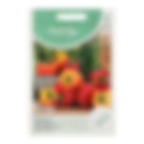 HT Baby Paprika Tinkerbell F1 red yellow