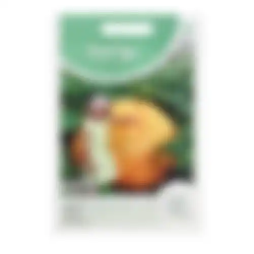 HT Pompoenen Atlantic Giant