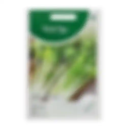 Horti Tops goudgele zelfblekende Bleekselderie