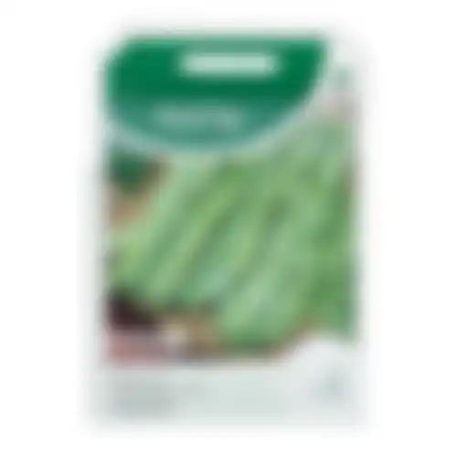 Horti Tops Stoksnijbonen raadsheer Veense