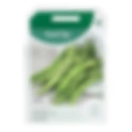 Horti Tops Stamsnijbonen Admires