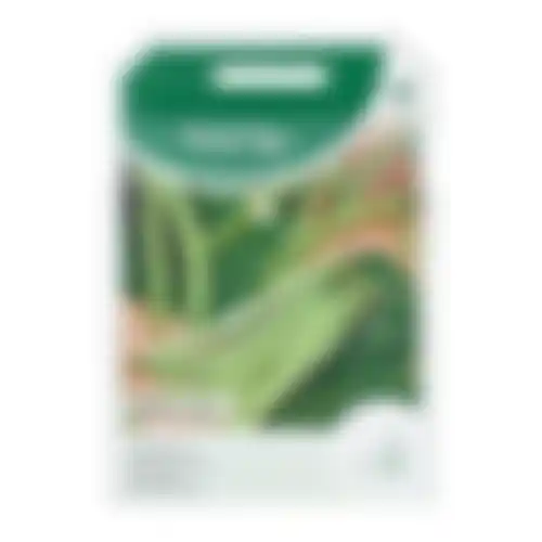 Horti Tops Stokslabonen Mechelse tros zonder draad
