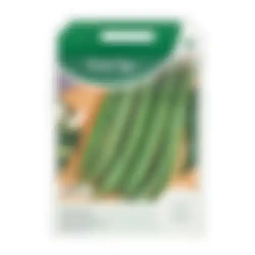 Horti Tops Stamslabonen chinees boontje Miracle