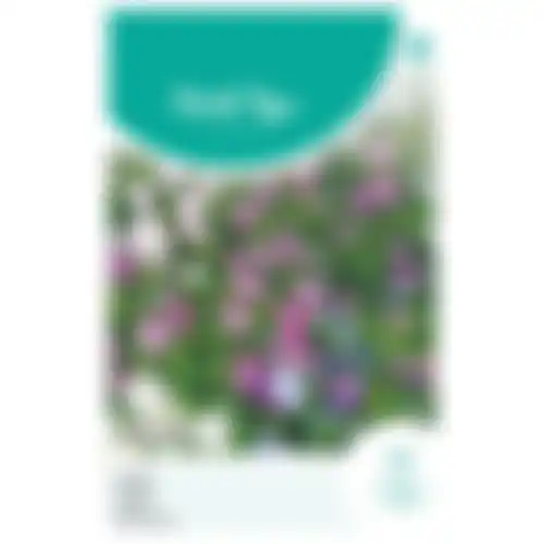 HT Lobelia parelsnoer gemengd
