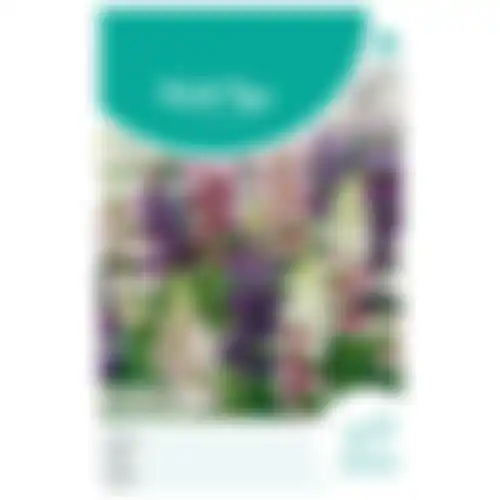 HT Lupinus lupine pixie delight gemengd