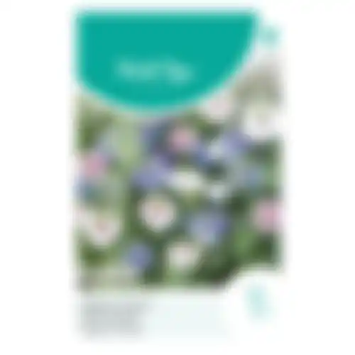 HT Nigella juffertjeinhetgroen persian jewels gemengd