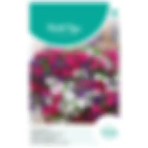 HT Petunia hangpetunia gemengd